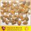 Yellow Polished Pebbles for Landscaping Paving