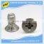 China OEM manufacturer high precision phillips head metal decorative screw