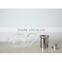 600ml glass water pot teapot with stainless steel infuser handmade glassware N6511