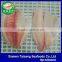 Frozen Black Tilapia Fish Fillet Seafood