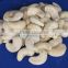 exporters of fresh quality cashew