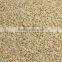 new crop factory supplier fava beans cheap Best Price Broad Bean