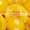 High quality market price fresh Canned yellow peach