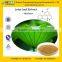 GMP Factoty Supply Natural Lotus Leaf Plant Extract