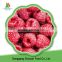 Supply IQF Frozen Black and Red Raspberry Whole with good quality