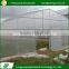 Eco-friendly 150/200 micron thick anti-aging greenhouse tunnel