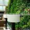 2015 High Quality Factory price Plastic/Artificial Plant Wall decorative wall hanging