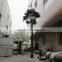 Artificial Palm Trees,for Shopping Mall Decorative Artificial Palm Tree