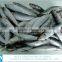 whole round frozen sardine fish