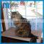 Sunny Seat Window Mounted Cat Bed as seen as on picture