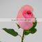 Salable Beautiful Fast Delivery Fresh Flowers From Kunming