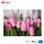 digital tulip designs place mat, 4 pcs per set, table decoration,fabric painting designs on table cloth