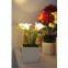 solar power LED calla lily