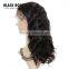 7A Grade Unprocessed Brazilian Virgin Hair Brazilian Body Wave Lace Front Human Hair Wigs