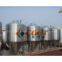 Fermenter/fermentation Equipment--beer Equipment,brewing Equipment,brewery Equipment