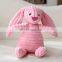Children Bunny Plush Fighting Animals Stripes Birthday Lights Porcupine
