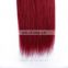 Grade 8a virgin hair Pervian straight ombre bundles hair weaves 1B/red color