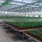 Nursery Equipment Planting Table Greenhouse For Agricultural