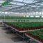 2017 Alibaba Factory Agriculture Seedbed Greenhouse Used For Sale