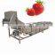 Vegetable wash machine by air bubble Industry used vegetable washing machine.