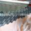 Galvanized steel coil strip GI SGCC DX51D 0.13-2.5MM