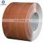 Hot sale wood paint ppgi factory 40g zinc coating/density ppgi steel sheet