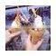 fish waffle maker biscuit ice cream taiyaki machine waffle maker custom plate fish shape open mouth taiyaki machine