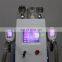 High Quality Criolipolisis Machine/cryolipolysis slimming machine/Fat freezing machine