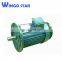 1000 watt electric motor