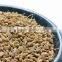 Best Grade Trachyspermum ammi Powder From India