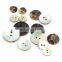 Customized Wholesale Natural Agoya Shell Button For Shirt Clothing