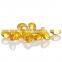 Automatic Paintball Omega3 Soft gel Capsule Encapsulation machine
