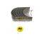 4893693 Diesel Engine Parts CON ROD BEARING 4893693 Diesel Engine Truck Parts