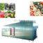 Top quality frozen vegetable production line on sale