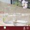 CASAMOTION Flat Clear Hand Blown Art Glass Vase With No MOQ and Gift Boxed, Small