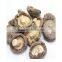 Natural Dry Shiitake Mushrooms /Dried Mushrooms