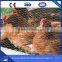 hexagonal wire mesh / chicken coop hexagonal wire mesh