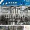 The leading manufacturer of automatic pineapple juice processing machine(fruit juice plant)