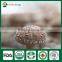 Shiitake Mushroom Spawn Bag, Mushroom Cultivation ,China Shiitake Mushroom