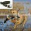 hot selling top quality TPU dog collar and leash