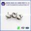 China all kinds of stainless steel coil spring