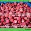 Best Price Frozen Fruit Strawberry Whole With High Quality