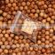 Olive Wood Round Beads 10 mm