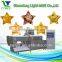 Hot Sale Automatic Twin Screw Extruder Machine For Corn Flakes