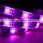ws2801 digital ultraviolet dimming led strip light