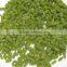 China Dried Green Raisins for Best sale