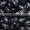 China black beans with best price for sale