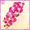 wholesale artificial thailand orchid flowers