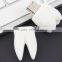 Mini tooth shape usb for handheld dentist, gift flash drive usb tooth, Custom shaped 8gb flash tooth usb drive