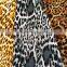 2014 new design FDY print spandex single jersey knitted fabirc